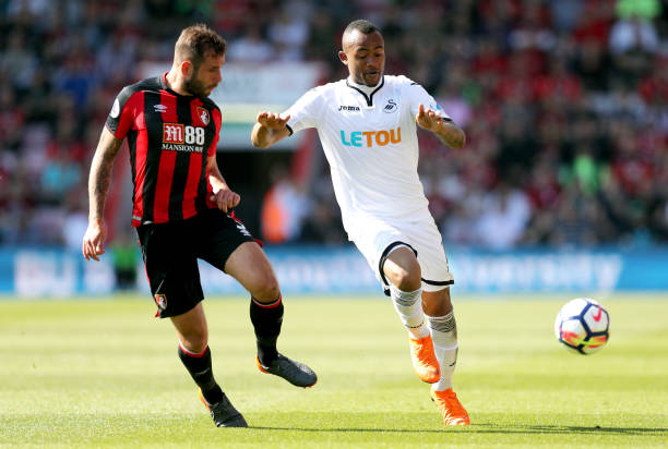 育的报道 育的报道